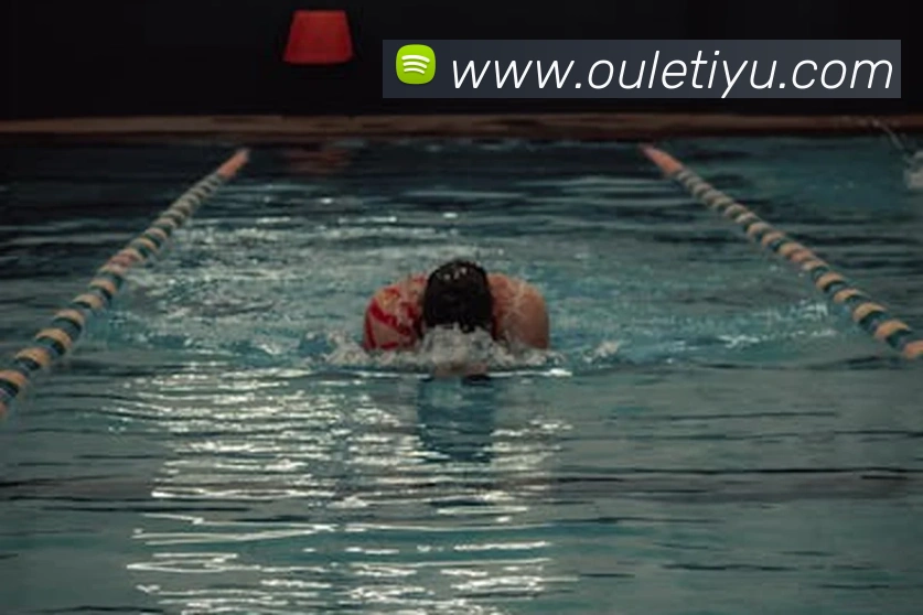 体育投注入口服务体系